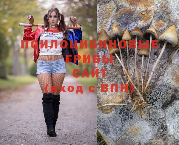 а пвп мука Алексин