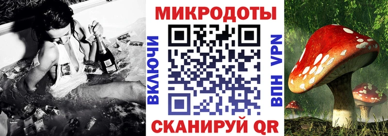 Галлюциногенные грибы мухоморы  Курчатов 